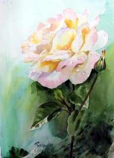 adyne-gohy - Les fleurs