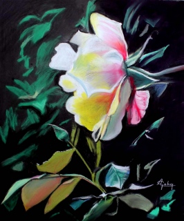 adyne-gohy - Les fleurs