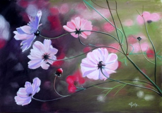 adyne-gohy - Les fleurs