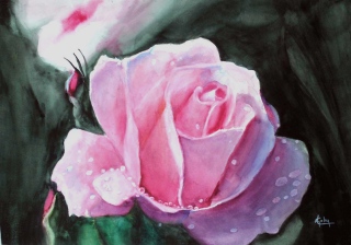 adyne-gohy - Les fleurs