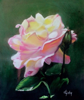 adyne-gohy - Les fleurs