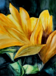 Un tournesol - Les fleurs