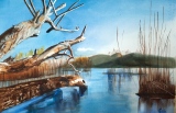 Au Lac du Bourget - Paysages 2ème