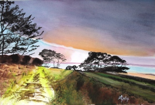 Sur l'Île Cadot (Bretagne) - Paysages 2ème