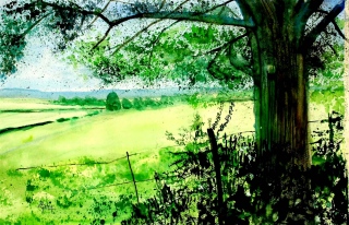 Sur le Plateau de Herve - Paysages 2ème