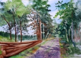 En Fagnes - Peintures sur le motif
