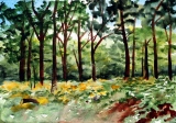 Dans les bois de Sohan - Peintures sur le motif
