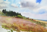 Dans Les Fagnes - Peintures sur le motif