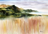 adyne-gohy - Peintures sur le motif