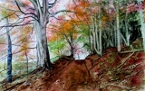 adyne-gohy - Paysage 3ème