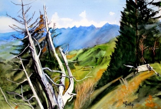 Moléson sur Gruyères Dans le Canton de Fribourg Suisse - Paysage 3ème