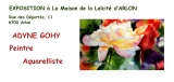 adyne-gohy - Mes expositions